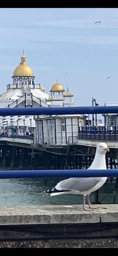 Gyves House Otel Eastbourne Dış mekan fotoğraf